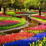 Europarcs 2* 费尔森-需德