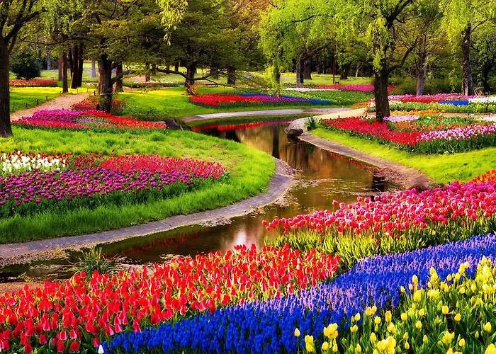 Europarcs 2* Velsen-Zuid