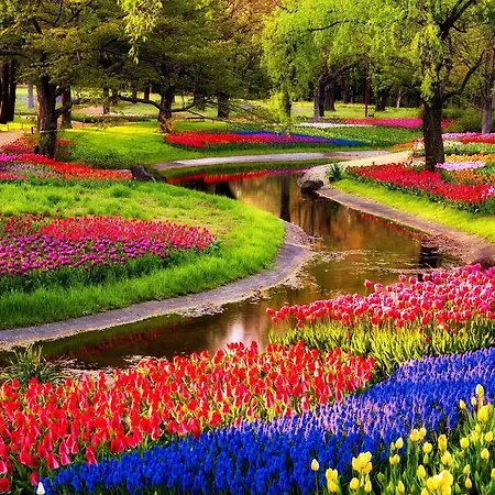 Europarcs 2* Velsen-Zuid